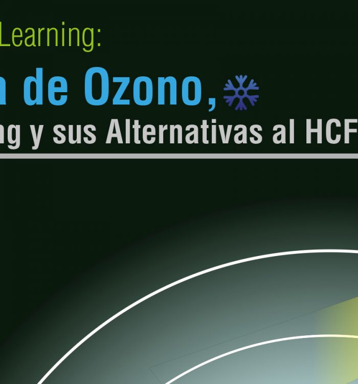 Capa de Ozono,Flushing y sus Alternativas al HCFC-141b